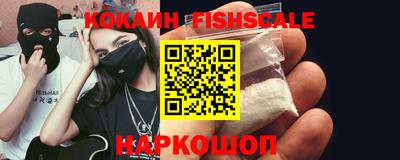индика Кингисепп