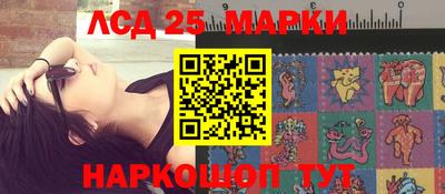 индика Кингисепп