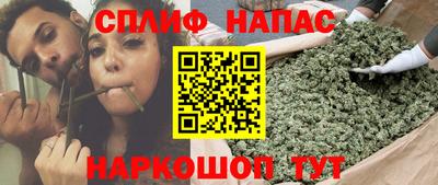 индика Кингисепп
