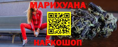 индика Кингисепп