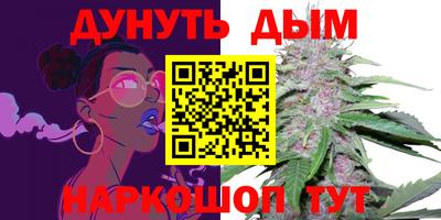 индика Кингисепп