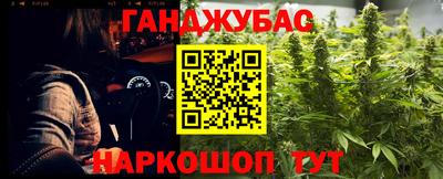 индика Кингисепп