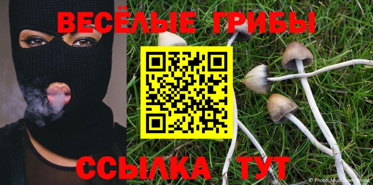 Качканар  Псилоцибиновые грибы Magic Shrooms  цены наркотик  Вход с VPN 